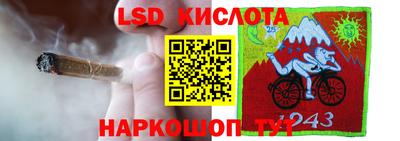гашик Кимры