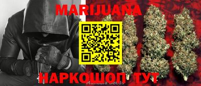 гашик Кимры