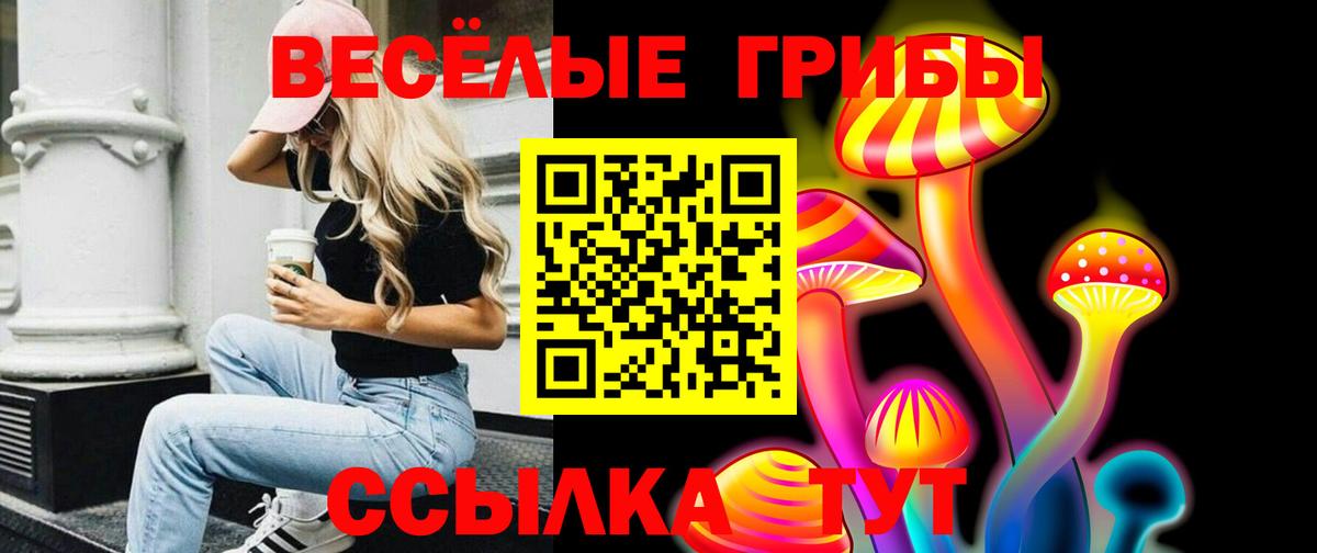 Псилоцибиновые грибы ЛСД  Вход с VPN  Бутурлиновка 