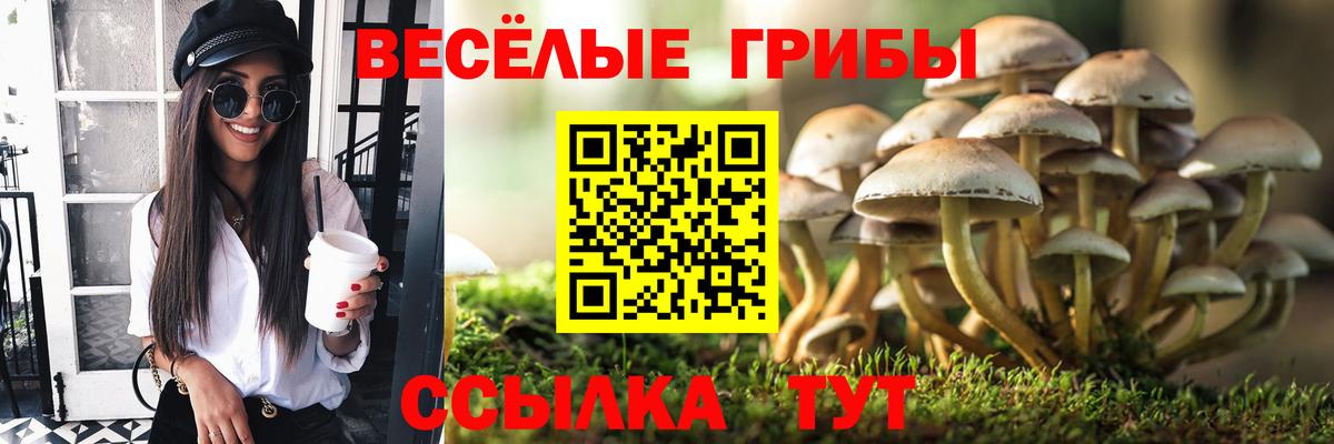 Галлюциногенные грибы мухоморы Бутурлиновка